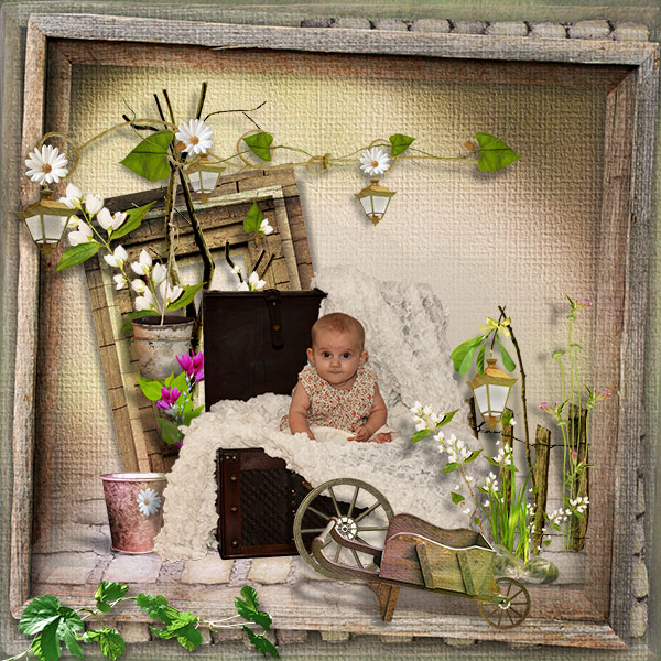 Country style 2