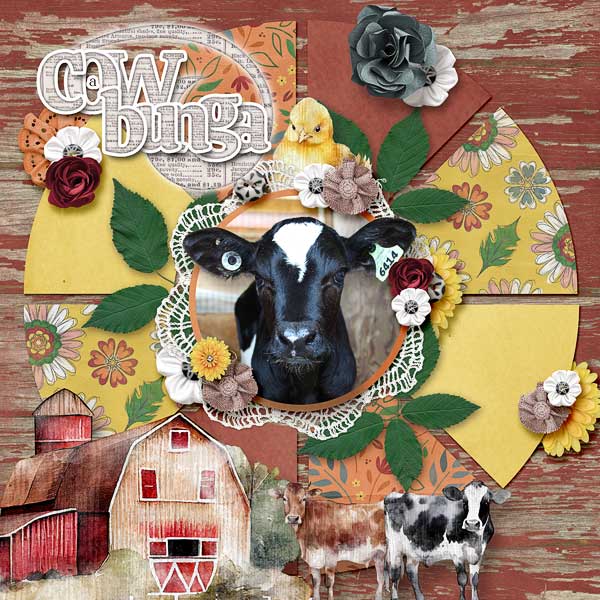 Cow-a-Bunga