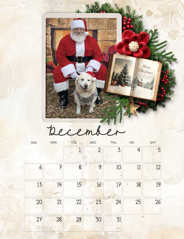 cozy-december-calender--zoe.jpg