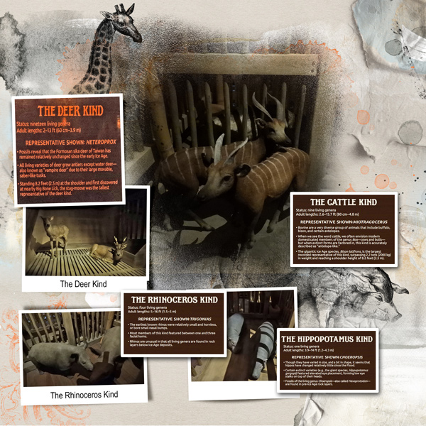 Creation Museum/Ark Encounter Project