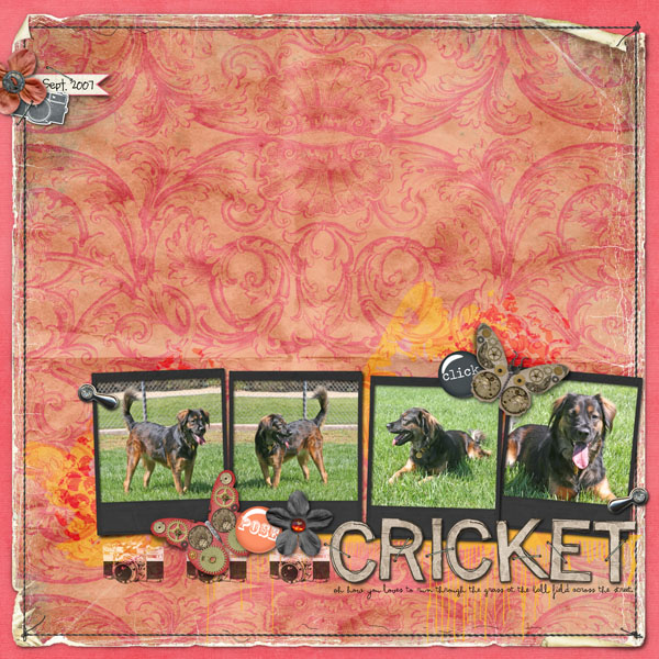 Cricket