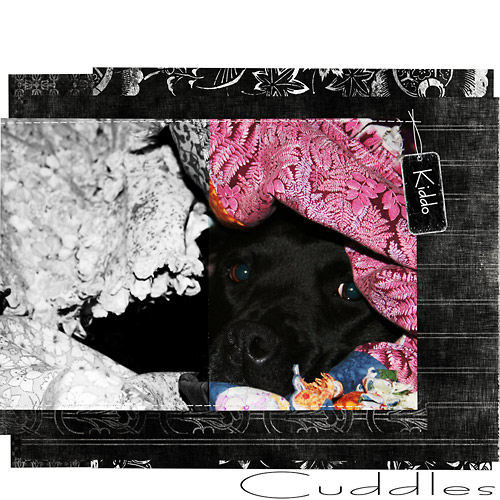 cuddlesG