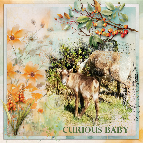 Curious-baby.jpg