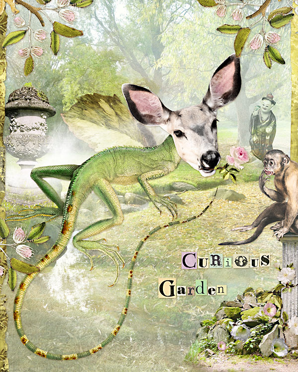 curious-garden