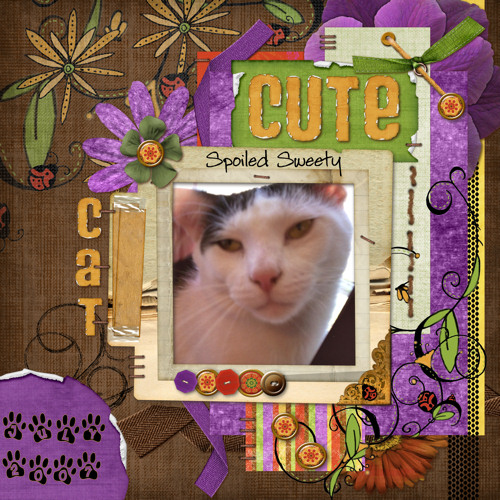 Cute Cat