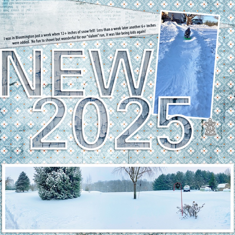 cwd-2025-Jan-Template-Challenge-Snow.jpg