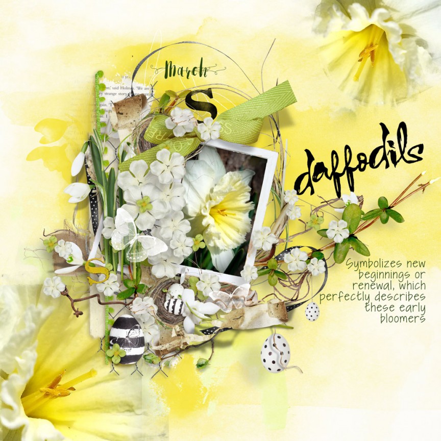 Daffodils - Flower of the Month - March