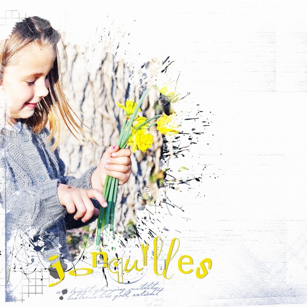 Daffodils