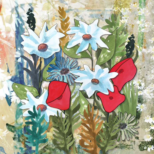 Daisies and poppies