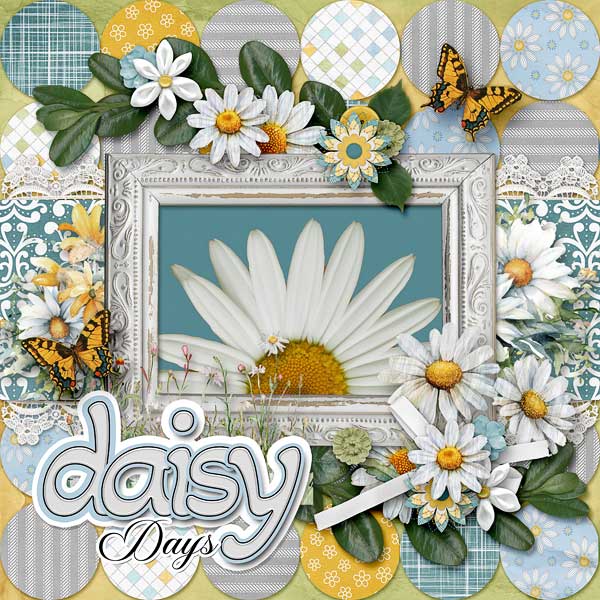 Daisy Days