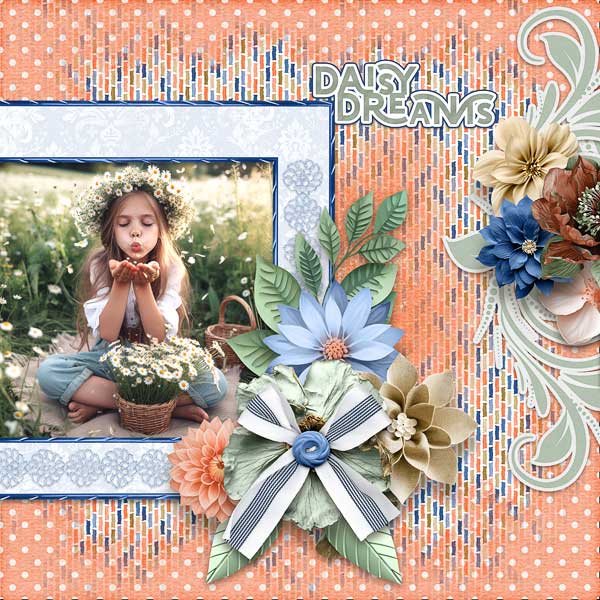 Daisy Dreams