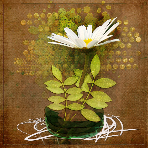 Daisy