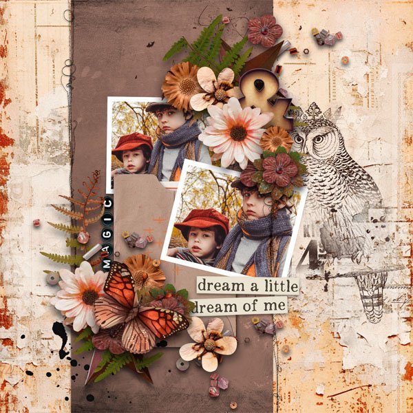 Dancing On The Treetops