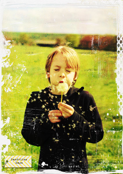 Dandelion Days