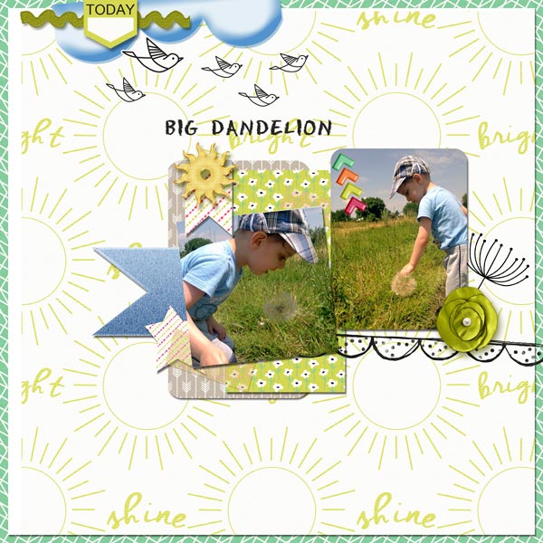 dandelion