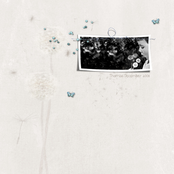 DANDELIONS