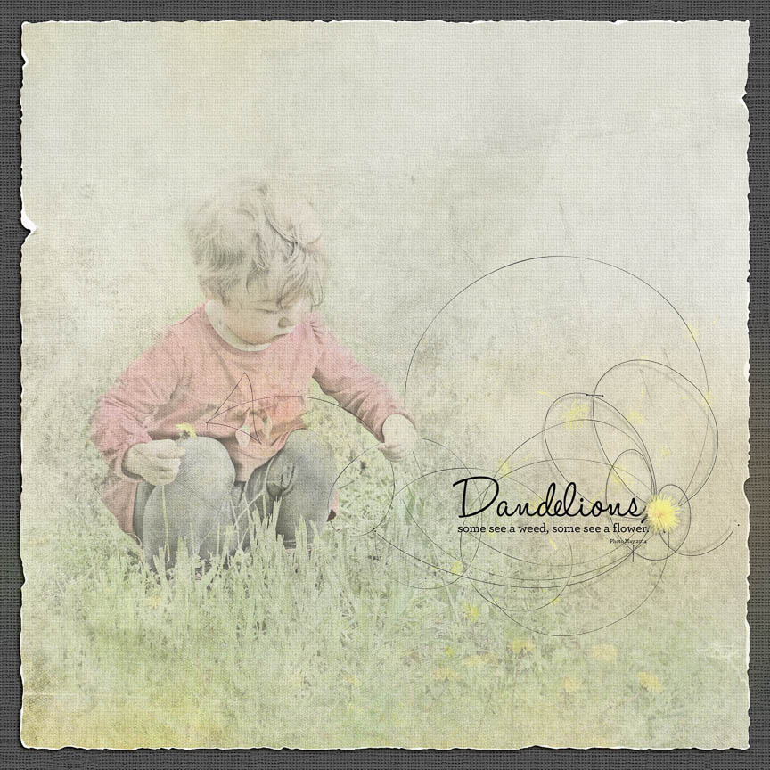 Dandelions