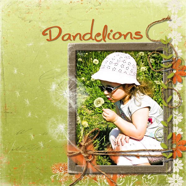 Dandelions