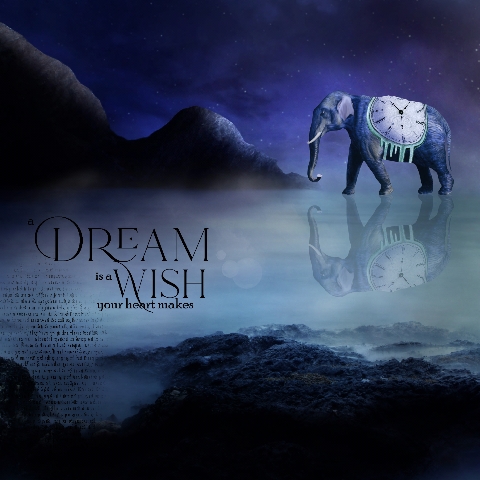 Dare to Dream a Wish