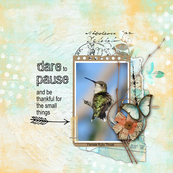 Dare to Pause