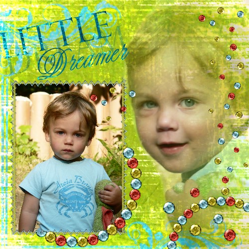 david