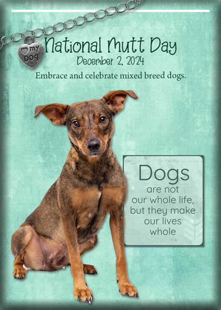 (Day 1) ATC-2024-052-National-Mutt-Day.jpg