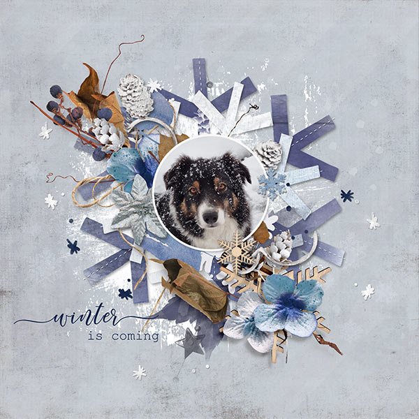 Day 1 - TemplateChallenge