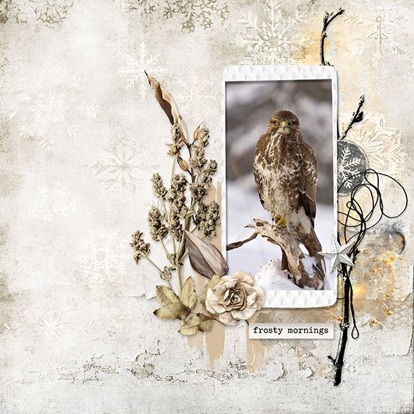 Day 10 - Chain Scraplift