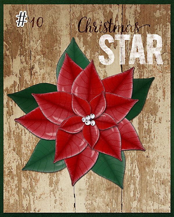 Day 10, December 2015