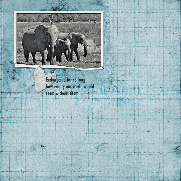 Day 10 - Elephants