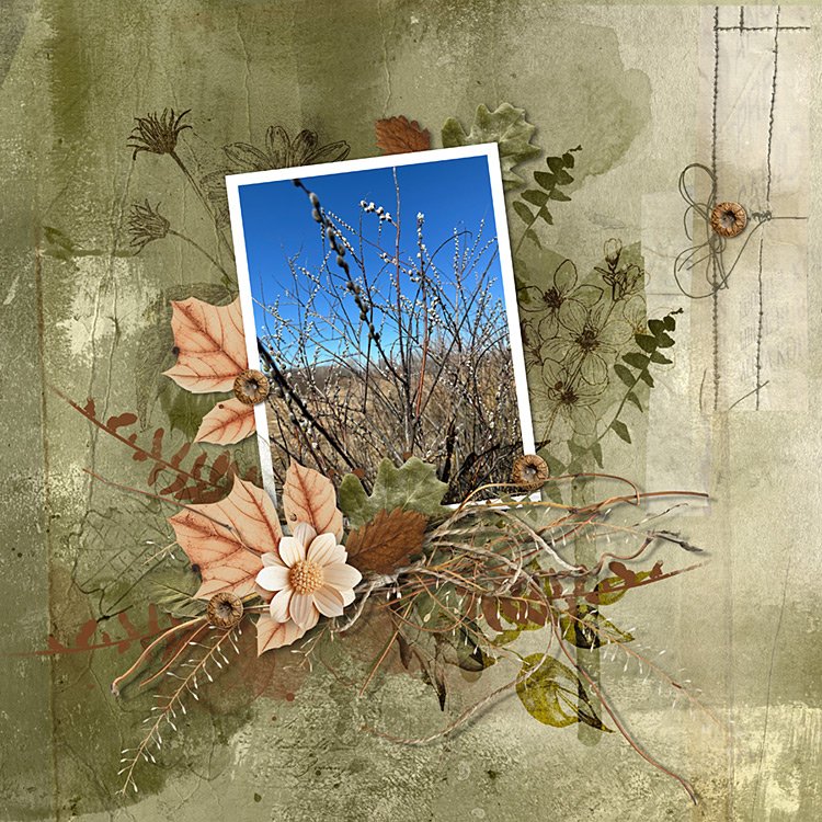 Day 10 - Scraplift challenge