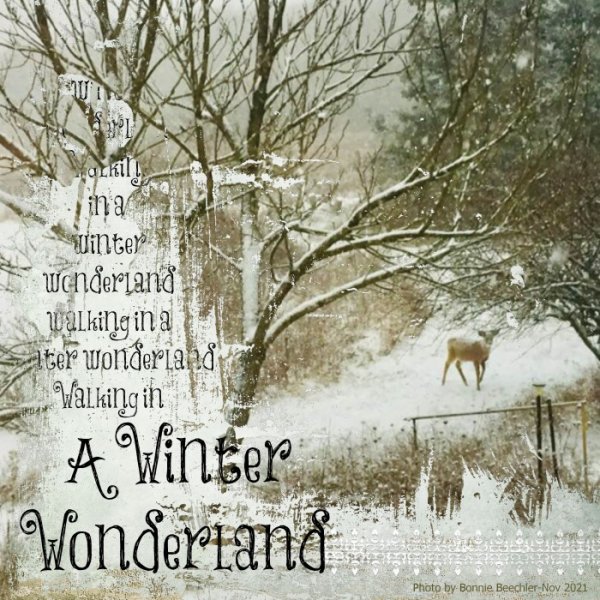 Day 12- A Winter Wonderland