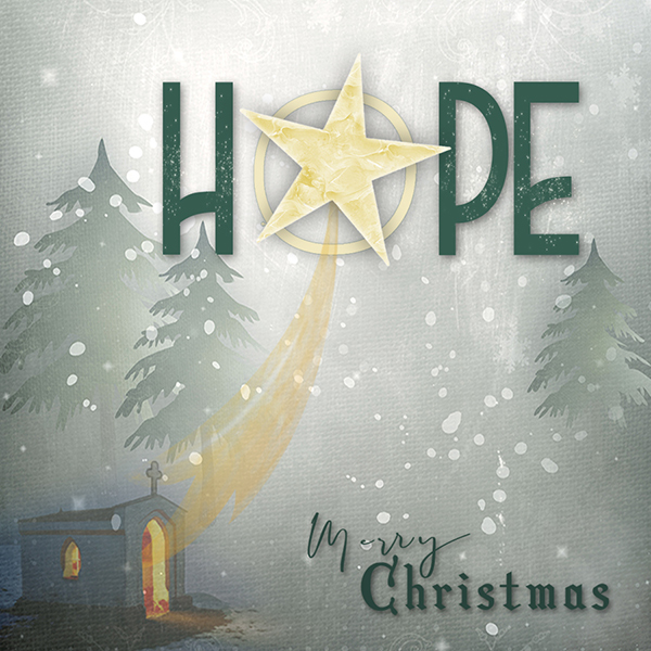 Day 12 - Star of Hope
