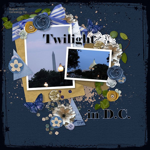 Day 2: Twilight in D.C.