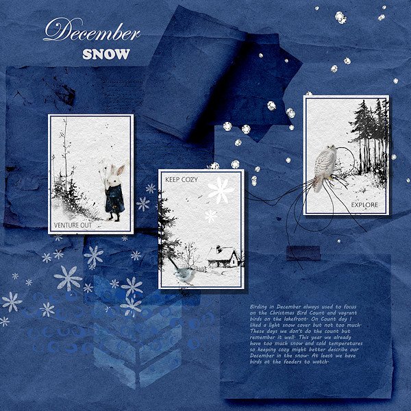 Day 3 ATC December Snow