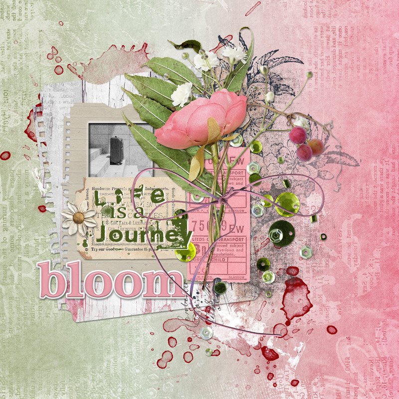 Day 4 Birthday Challenge-Life is a Journey Bloom
