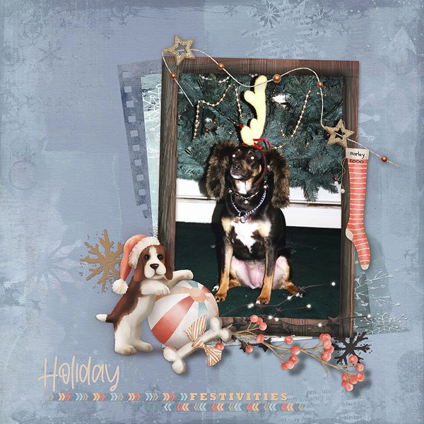 DAY 4 - One Word Challenge:  Harley 2000