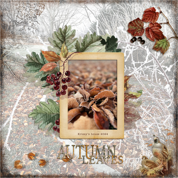 Day 6-Autumn-leaves.jpg