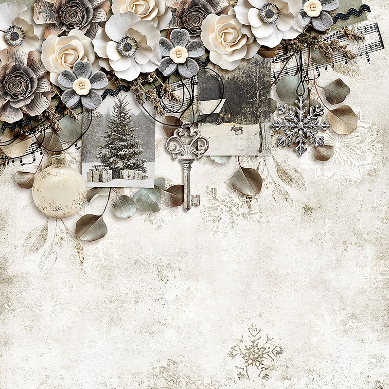 Day 7 - Create a Border Challenge