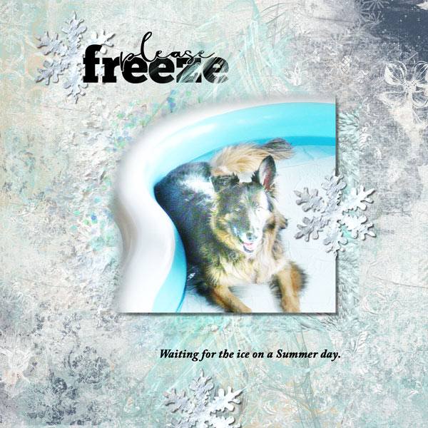 Day 7 Please Freeze