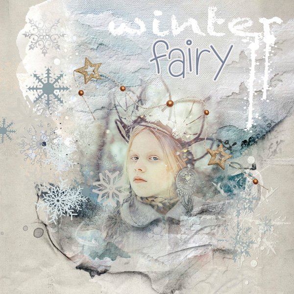 Day 9_UseoneofthesephotosChallenge_12daysChristmas_janisn.jpg