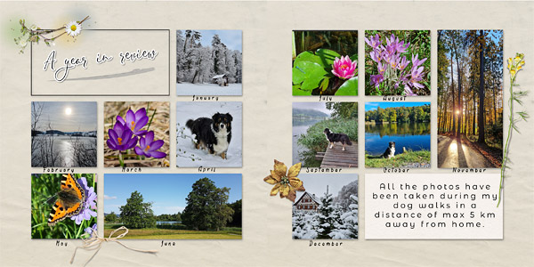 Day12 - Template Challenge