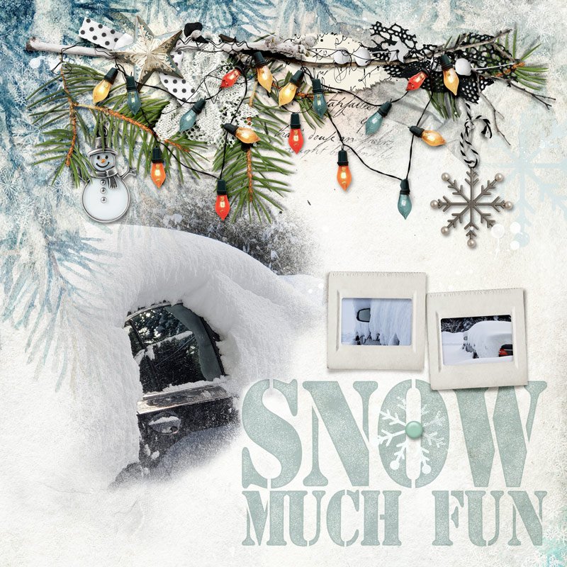 Day7 Create a Border Challenge