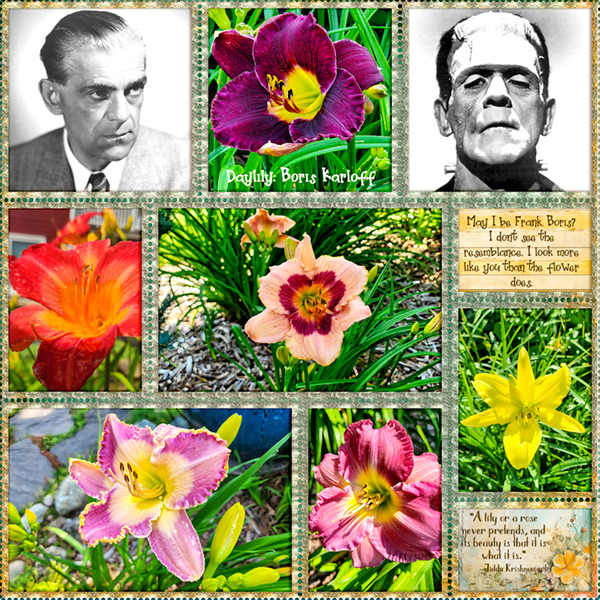 daylilies-with-boris-web.jpg