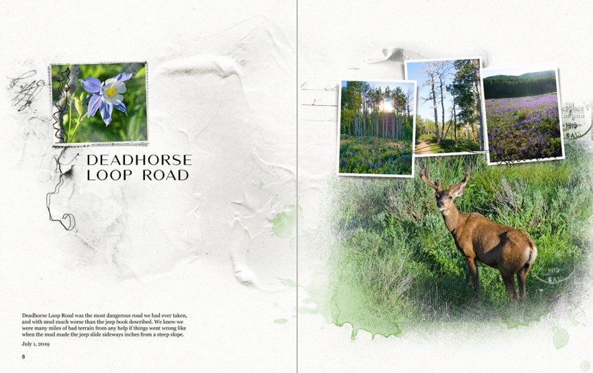 Deadhorse Loop Road