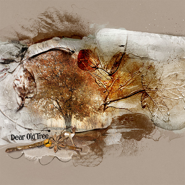 Dear Old Tree
