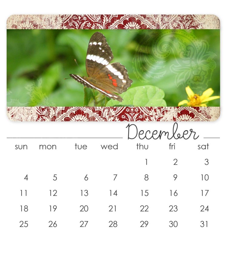 December 2011 CD Calendar