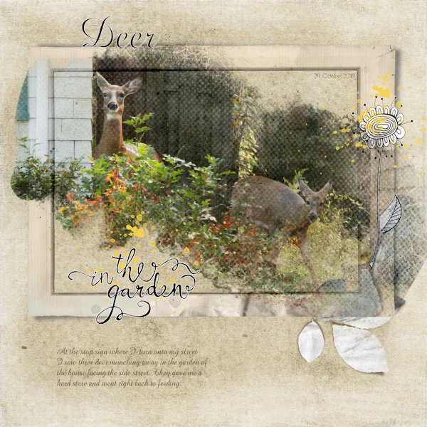 Deer in the Garden