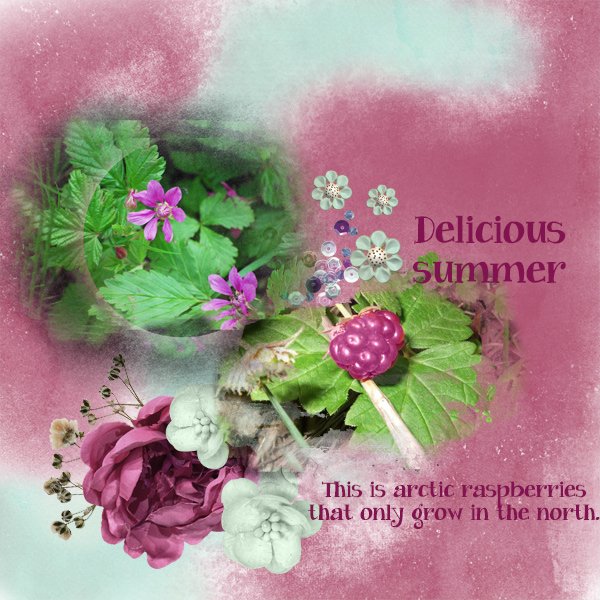 Delicious-summer.jpg