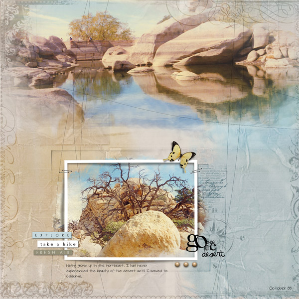 Desert Beauty (AnnaLift)